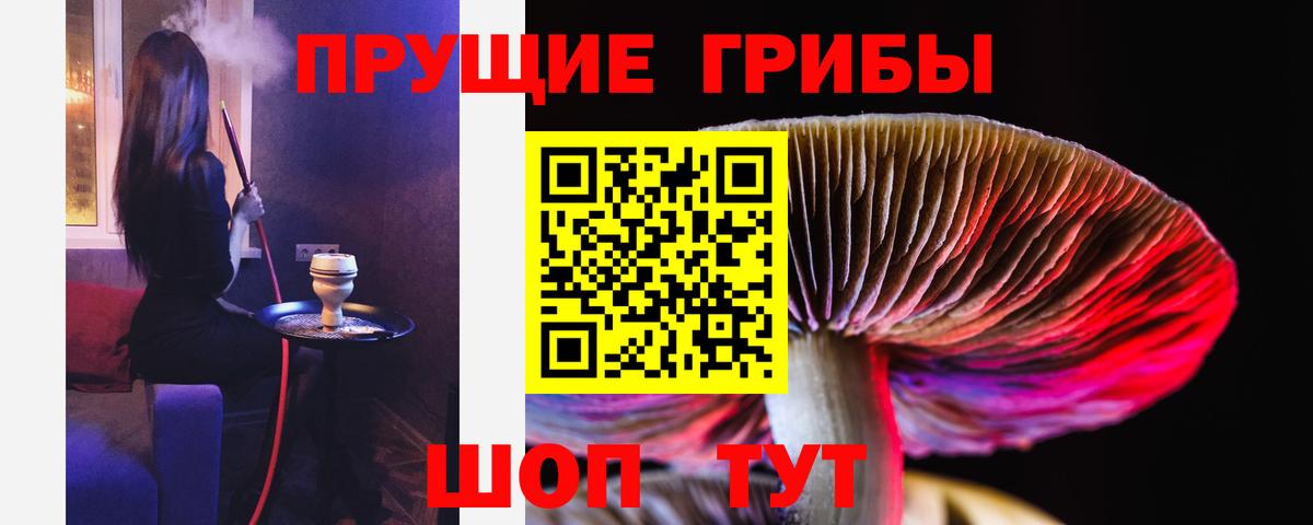Псилоцибиновые грибы Magic Shrooms  Вход с VPN  Псков 